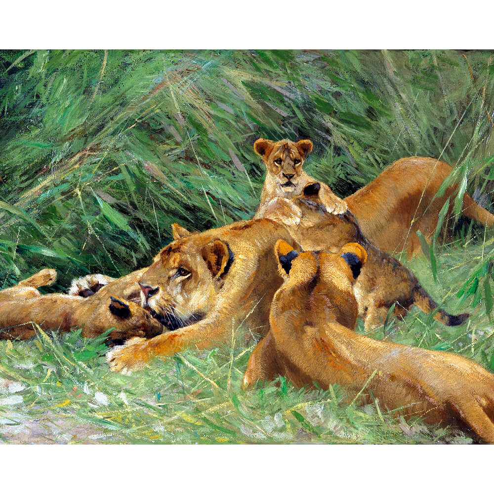DIY Diamond Art Kit - Africa Animals Lion Family | Diamond Painting Kits