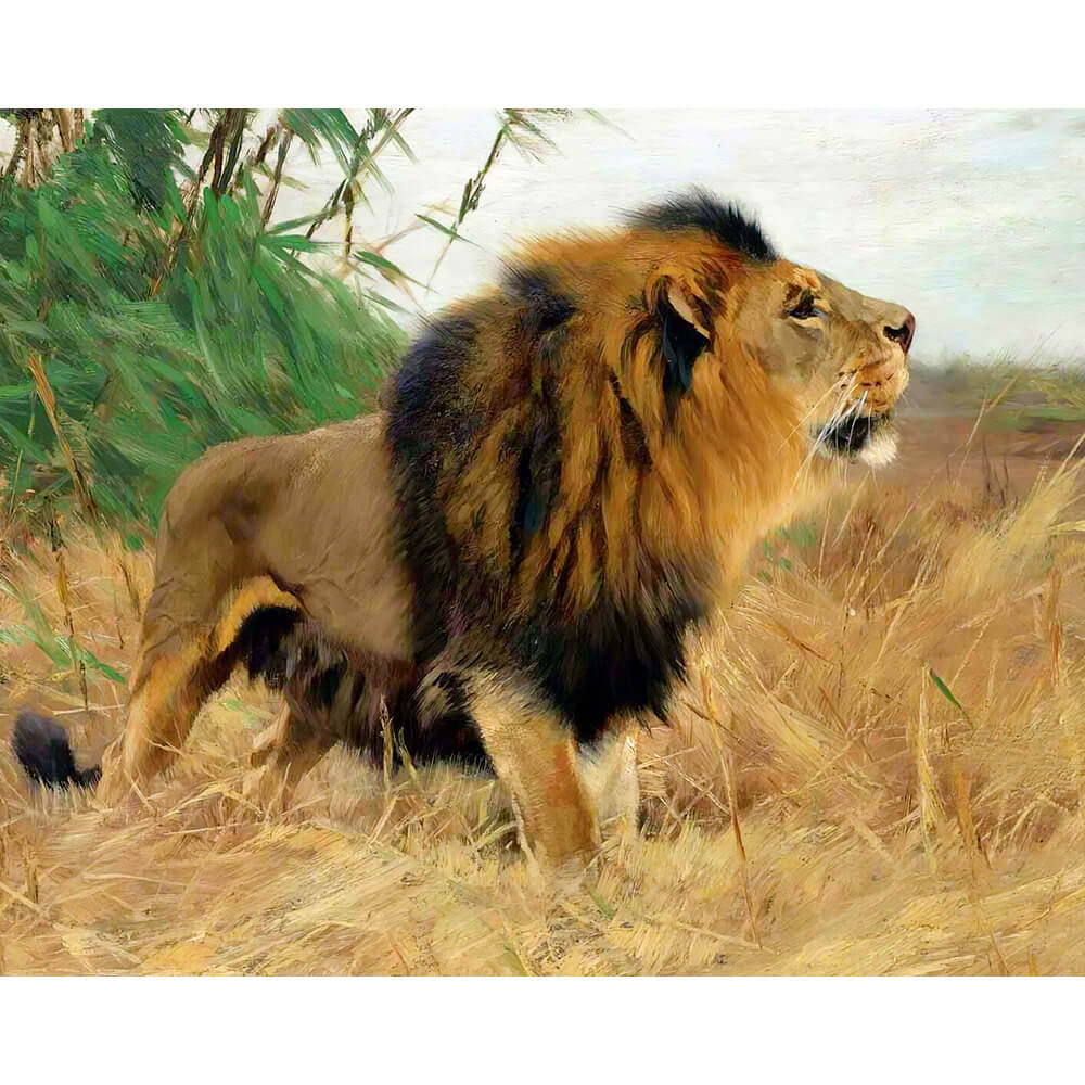DIY Diamond Art Kit - African Lion | Diamond Painting Kits