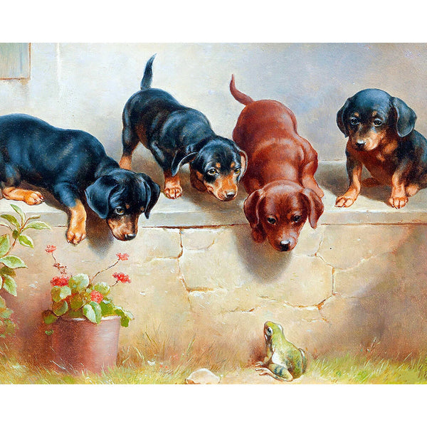 Paint By Numbers - Dachshund Dog and Frog