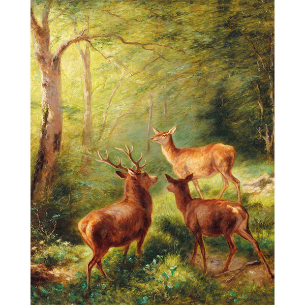 DIY Diamond Art Kit - Deer In A Sunny Forest Clearing | Diamond Painting Kits