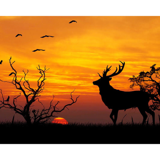 Paint By Numbers - Deer in Sunset