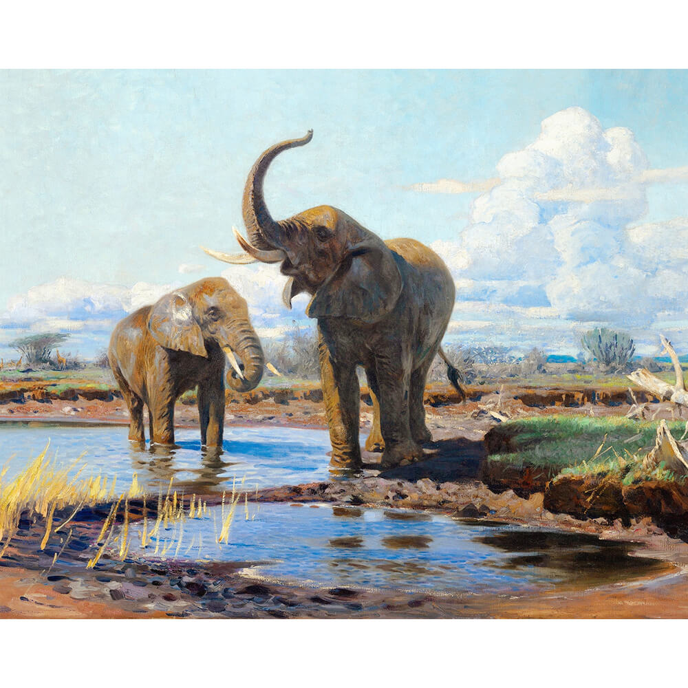 DIY Diamond Art Kit - Elephants At A Waterhole | Diamond Painting Kits
