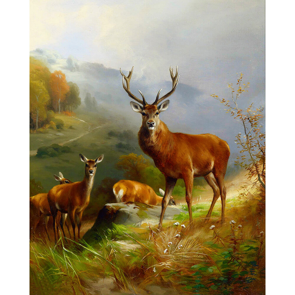 Paint By Numbers - Herd of Deer