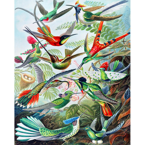 Hummingbirds | Diamond Painting Kits