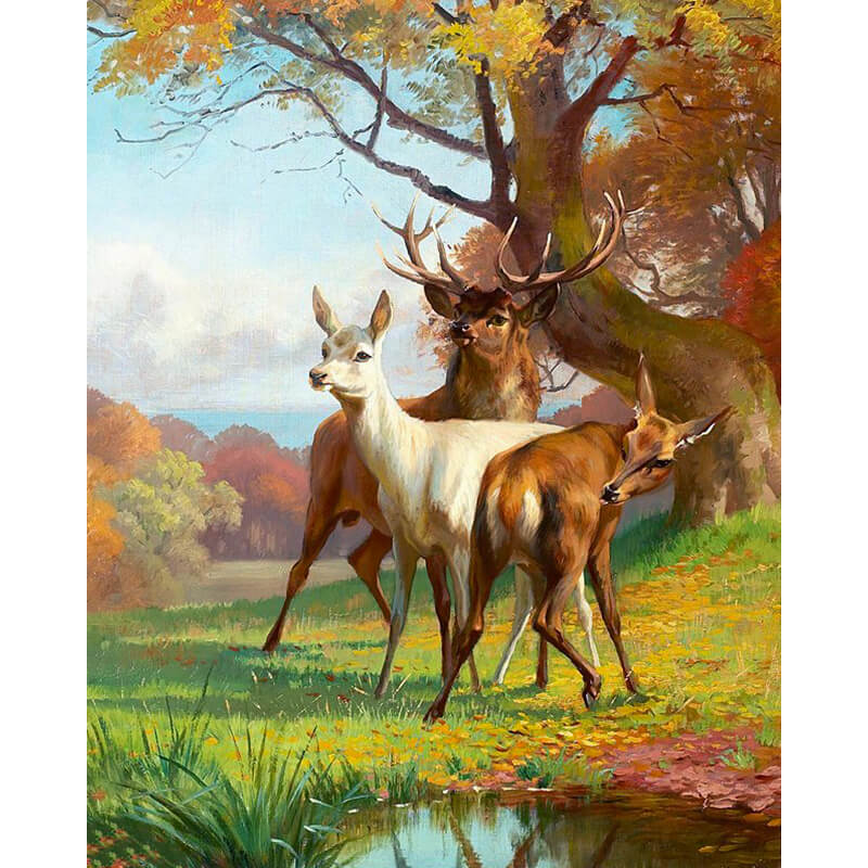 Paint By Numbers - Deer