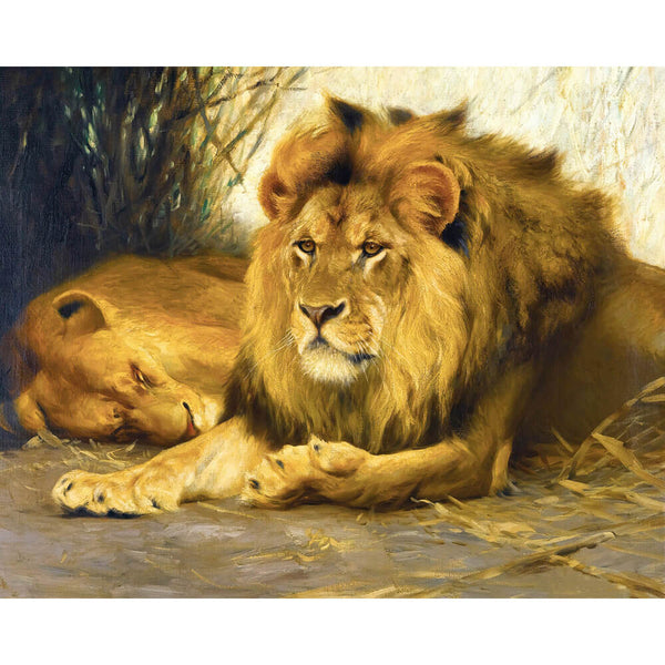Paint By Numbers - Resting Lion