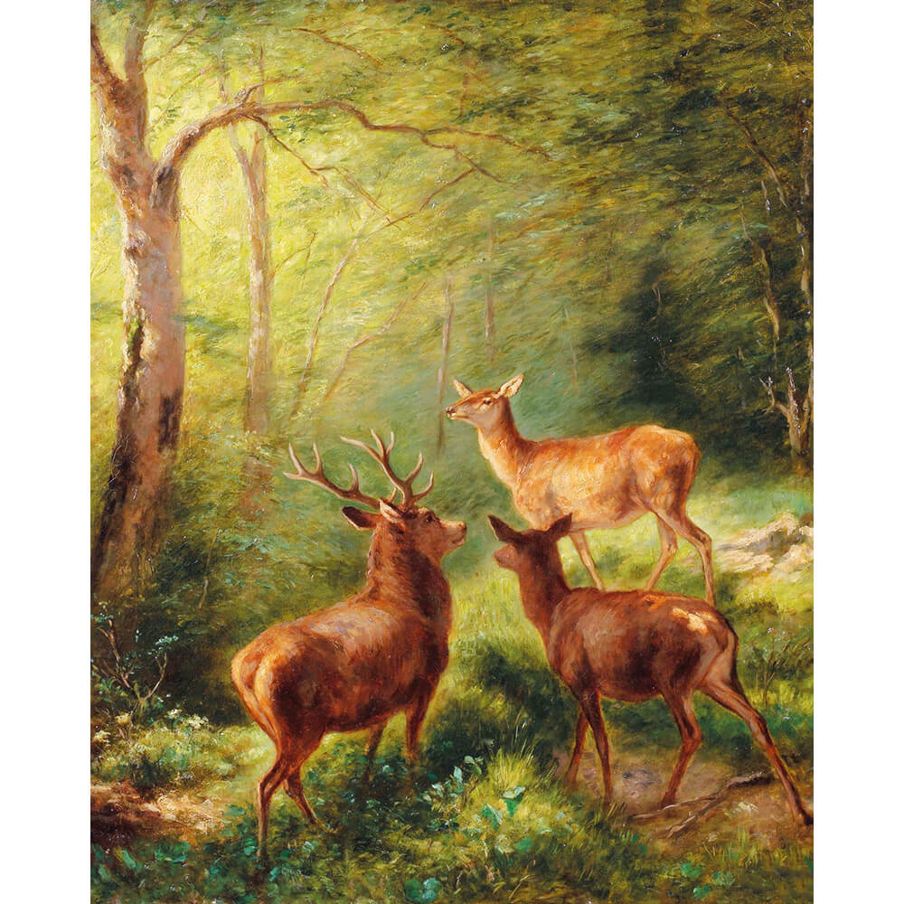 Paint By Numbers - Sunny Forest Deer