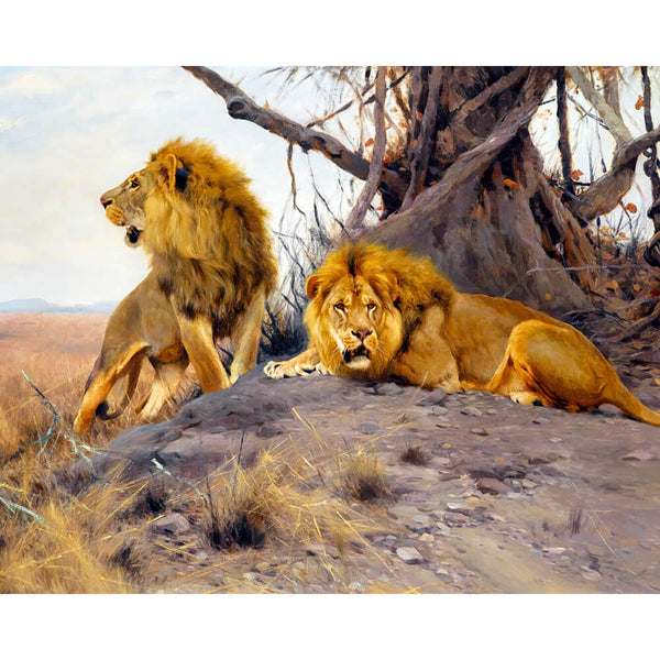 DIY Diamond Art Kit - Serengeti Lions | Diamond Painting Kits