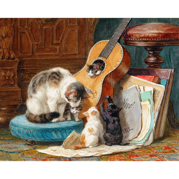 Paint By Numbers - Musician Cat